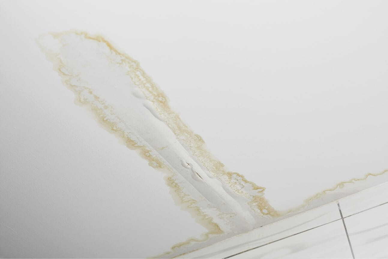 Wasserschaden baumangel